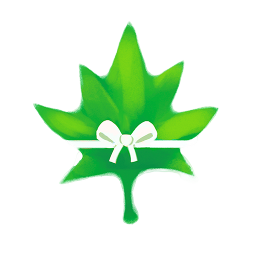 Green maple leaf with a white bow on a white background